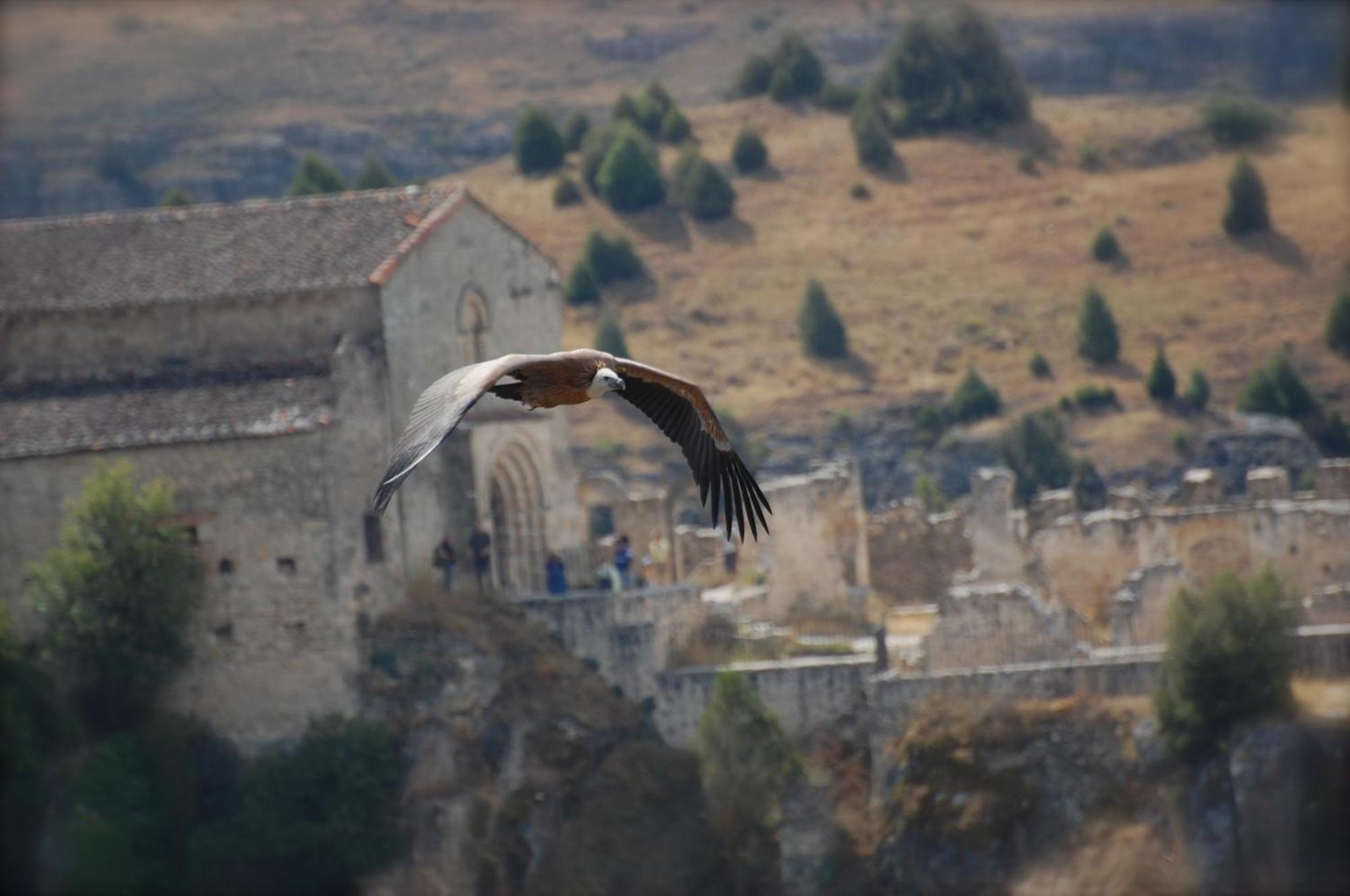 El Rincon De Las Hoces Del Duraton Burgomillodo Esterno foto