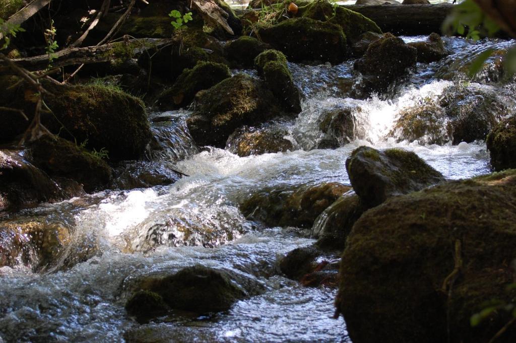 El Rincon De Las Hoces Del Duraton Burgomillodo Esterno foto